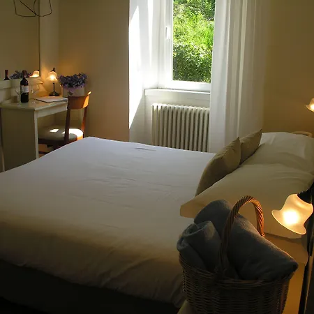 オーロラ レッツェノ